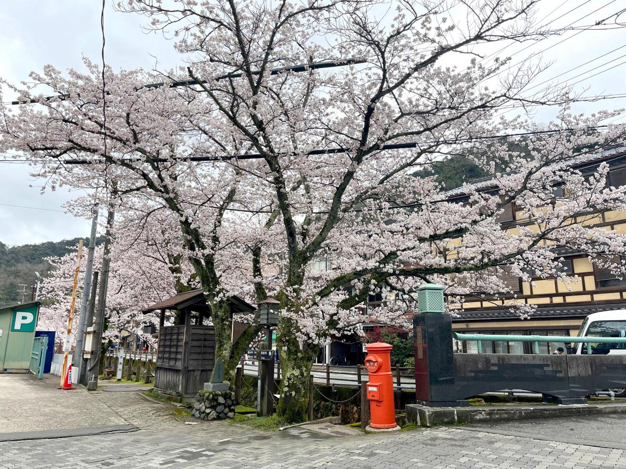 城崎温泉一棟貸し　旅宿yadokari Toyooka  Ngoại thất bức ảnh
